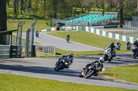 Middle Group Black Bikes